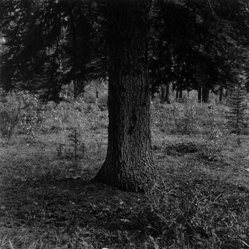 14_Nordegg76-06.jpg - Nordegg, AB 1976