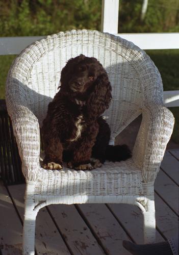 06_Lady_0016.jpg - Lady