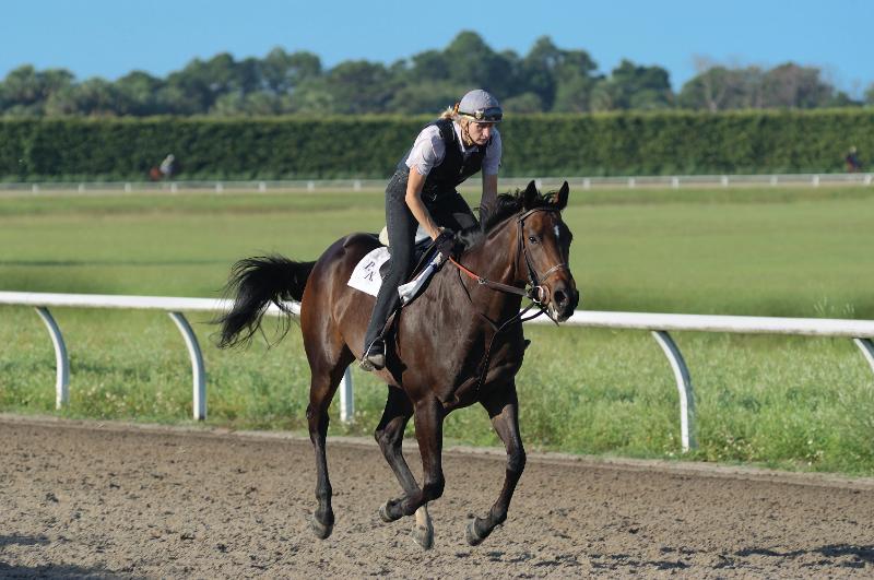 08_DSC_0016.jpg - Payson Park, 2003
