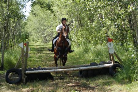 Allie_riding_Nebaskette_cross_country_1.jpg - Ally riding Nebaskette on TP cross country course