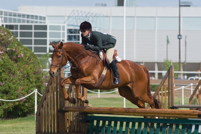 Jenn_Ernie_2005_Img0062_DSC_0012.jpg - Jenn riding Ernie at Northlands, 2005