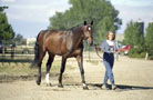 Janice walking Cheops at Olds College