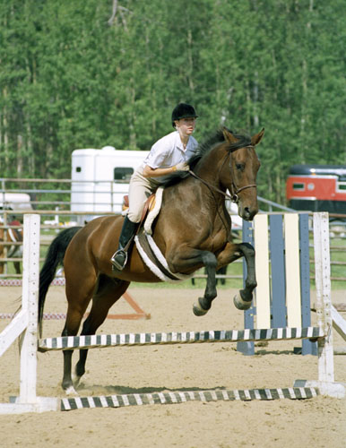 Luxardo in Hunter ring at local fun Show, Summer 2001