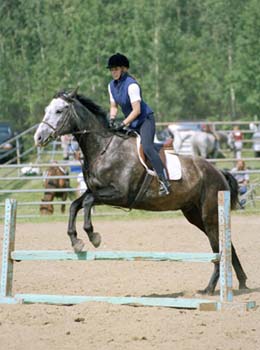 Tex_2001