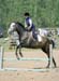 Tyndall Park Lesson Horse: Texas Silver Sage